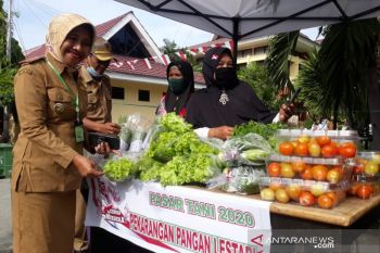 Pemprov Sulteng  dorong seluruh daerah miliki poktan pekarangan