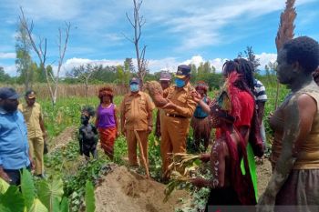 Bupati: proposal permintaan bantuan bukan budaya masyarakat Jayawijaya