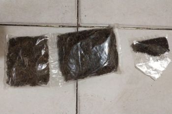 Polisi : dua warga PNG ditetapkan sebagai tersangka kasus narkotika