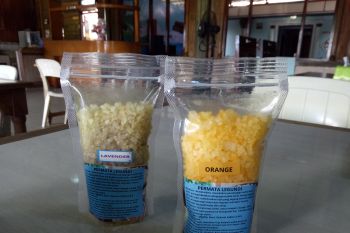 Dinsos Lampung dukung petani garam di Pulau Legundi