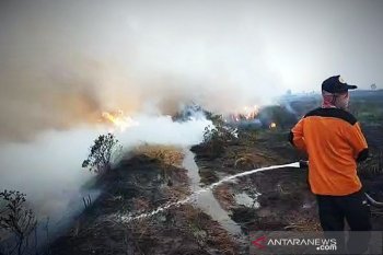 Karhutla di Kabupaten Kapuas Kalteng terjadi di tiga desa