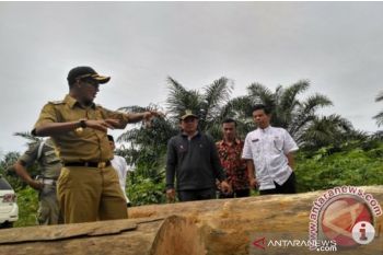 Dinilai bertindak zolim, Legislator minta Gubernur pecat ketua LPTQ Sumbar