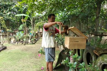 Madu lebah hasil budi daya Lampung Timur makin digemari