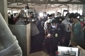 Mentan sebut pemerintah sudah penuhi kebutuhan pupuk bersubsidi