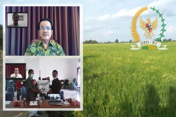 Teras Narang minta pemda bersinergi jawab tantangan pangan masyarakat