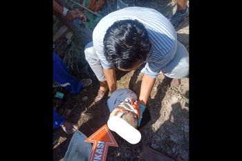 Heboh! warga Brang Ene KSB temukan bayi laki-laki terbungkus kain putih lengkap tali pusar dikubur di dalam tanah