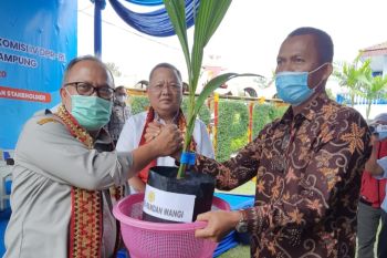 Kementan apresiasi BUMD serap hasil kakao petani Lampung