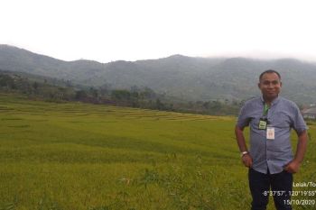 Petani Flores tak tertekan suasana COVID-19