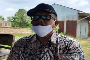 Ketersediaan pangan di Kabupaten Boyolali surplus 68.827 ton