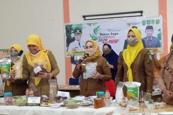 Dinas Ketahanan Pangan Bengkalis pamerkan 10 olahan dalam Pekan Sagu Nasional