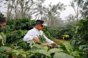 Wagub Sulsel paparkan potensi investasi pada ajang IID