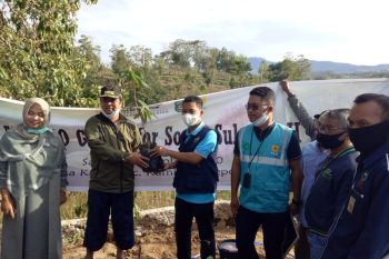 Peduli lingkungan, PLN salurkan bantuan 500 bibit pohon di Jeneponto