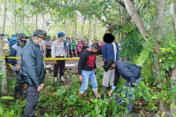 Depresi ditolak rujuk, Suwandi gantung diri di kebun karet