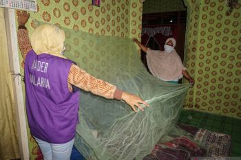 Waspadai nyamuk pembunuh nomor satu dunia