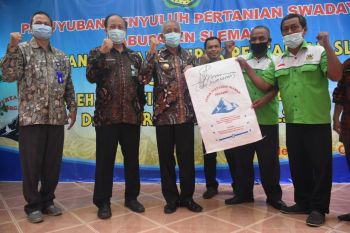 Bupati meresmikan nama dagang pupuk organik produksi penyuluh Sleman