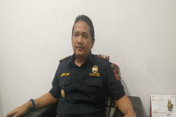 Bea Cukai Jayapura dan Yonif 413/BRM tangkap empat pengedar ganja