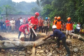 Warga Banjarnegara diimbau waspadai angin kencang