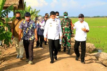 Pastikan kebijakan presiden terwujud, Wantannas lakukan kajian di kawasan food estate