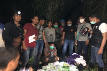 Polres Inhil amankan 50 kg sabu di perkebunan PT ASI