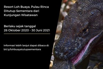 Balai Taman Nasional Komodo tutup sementara Pulau Rinca