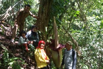 Warga mulai berdatangan untuk saksikan kejadian ini di Nagari Garagahan, Agam