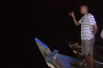 Balai TNWK Lampung tegaskan tak pernah melepas buaya ke Sungai Way Penet