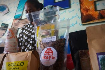 Gubernur Mandacan optimistis investasi hijau bangkitkan ekonomi Papua Barat