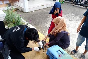 Warga Padang Panjang mari manfaatkan vaksinasi rabies gratis