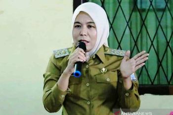 Wawako Palembang  imbau warga waspadai penyakit demam berdarah