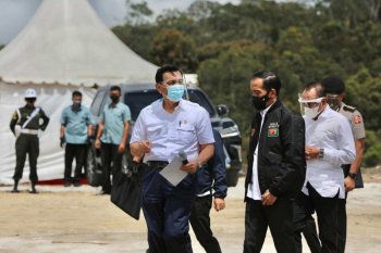 Luhut pastikan "food estate" Humbahas tidak lewati batas hutan lindung