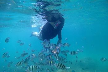 Pelaku wisata kelong apung di Bintan  diuntungkan  libur panjang