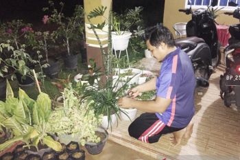 Warga Tanjungpinang pilih tanam bunga hias saat libur panjang