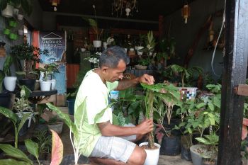 Di Lengayang,  Pesisir Selatan penjual kembang dapat raih omzet Rp1 juta sehari