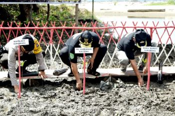 Sukseskan PEN melalui padat karya tanam mangrove di Sukamara