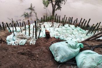 Kulon Progo diminta serius tangani ancaman banjir kawasan selatan