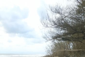 Dispar Kulon Progo diminta jaga kebersihan kawasan pantai
