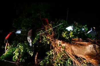 BPBD: Seluruh daerah di Sulteng  rawan bencana dampak La Nina
