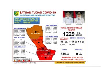 Gugus Tugas: Pasien sembuh dari COVID-19 di Palangka Raya capai 89,99 persen