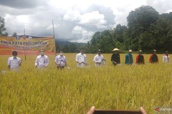 BMKG Padang Pariaman pandu petani bercocok tanam dan tingkatkan produktifitas pertanian (Video)