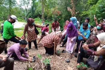 Maninjau, Agam bakal dijadikan daerah pengembangan porang di Sumbar