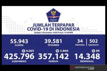 Kasus COVID-19 di Indonesia bertambah 4.065 kini jadi 425.796 orang