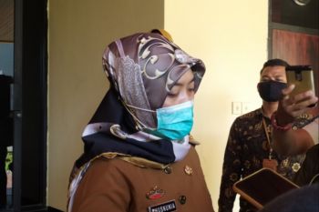 Wagub: Kita tingkatkan produksi sektor unggulan perbaiki perekonomian