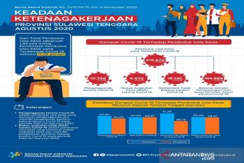 Angkatan kerja di Sulawesi Tenggara bertambah 42.441 orang