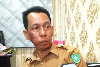 Pemkab Bengkalis lelang 56 unit mobil dinas, begini penjelasannya