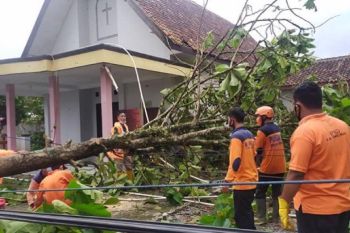 Warga Purbalingga waspadai angin kencang