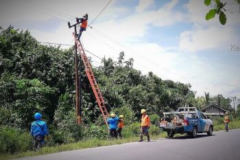 Cuaca ekstrem, dahan pohon dekat jaringan ancam kelangsungan pasokan listrik