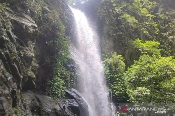 Upaya Lampung kembangkan wisata di kawasan hutan