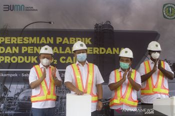 Peresmian pabrik CO2 Pupuk Kujang