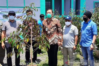 BRI berdayakan ekonomi  masyarakat Banyumas melalui budi daya durian