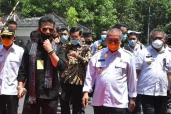 Pemkab Polman targetkan luas lahan kedelai 13.500 hektare